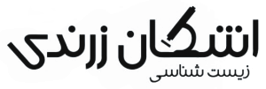 اشکان زرندی